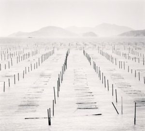 Michael Kenna Seaweed Beds, Jeung-do, Shinan, South Korea, 2012