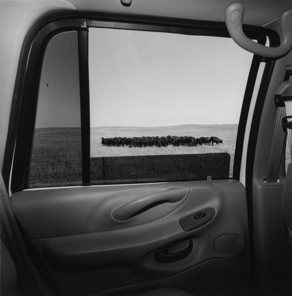 Lee Friedlander