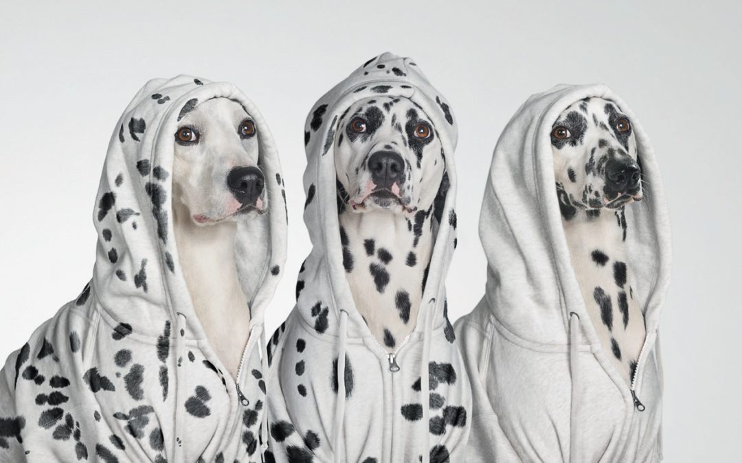 Woof