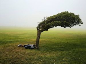 Green Point Common, Le Cap, © Pieter Hugo, courtesy Galerie Stevenson, Le Cap/Johannesburg et Yossi Milo, New York