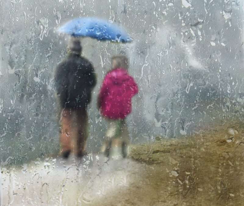 Après la Pluie Photographies de Nadine Vessier