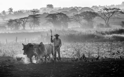 Cuba, monde paysan