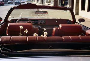 Vivian Maier Chicago, June, 1978 ©Estate of Vivian Maier/Maloof Collection, Courtesy Les Douches la Galerie, Paris & Howard Greenberg Gallery, New York