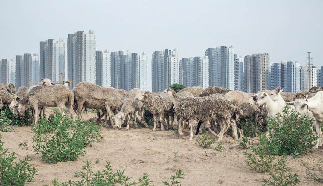 CONCRETE CHINA
