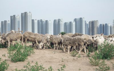 CONCRETE CHINA