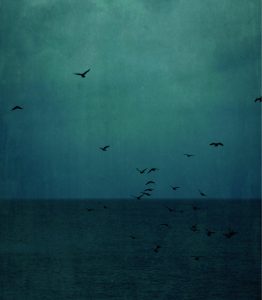 Evening Seas ©JEFFERSON HAYMAN, COURTESY GALERIE DE L’INSTANT, PARIS