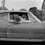 Mark Steinmetz (4)