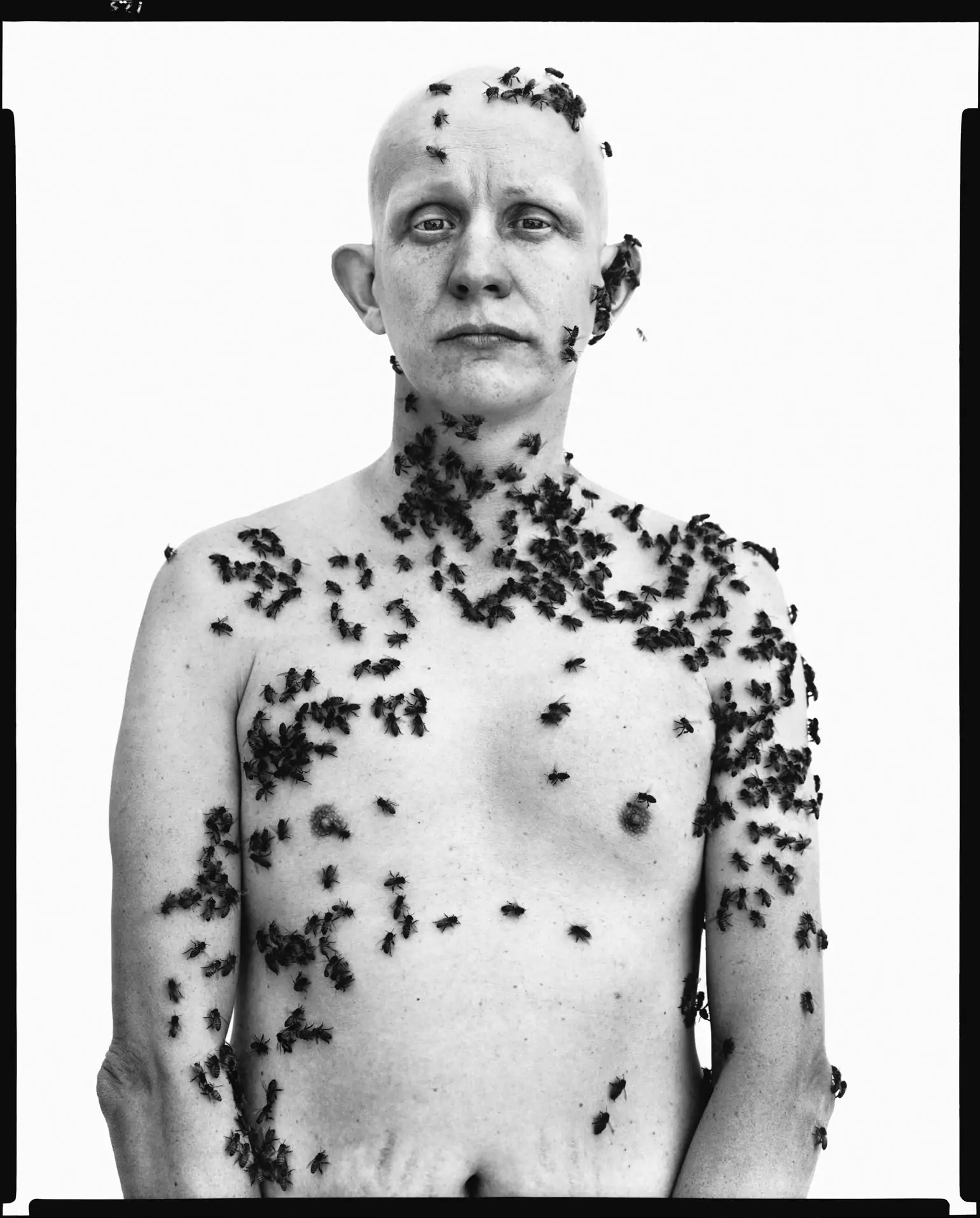 Ronald Fischer, beekeeper, Davis, California, May 9, 1987. Photographie de Richard Avedon © The Richard Avedon Foundation