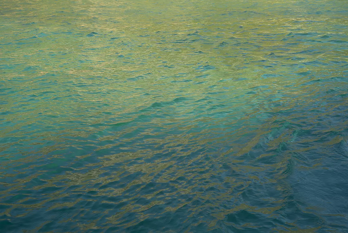 02. Jean Noel de Soye, Hydra, 2017
