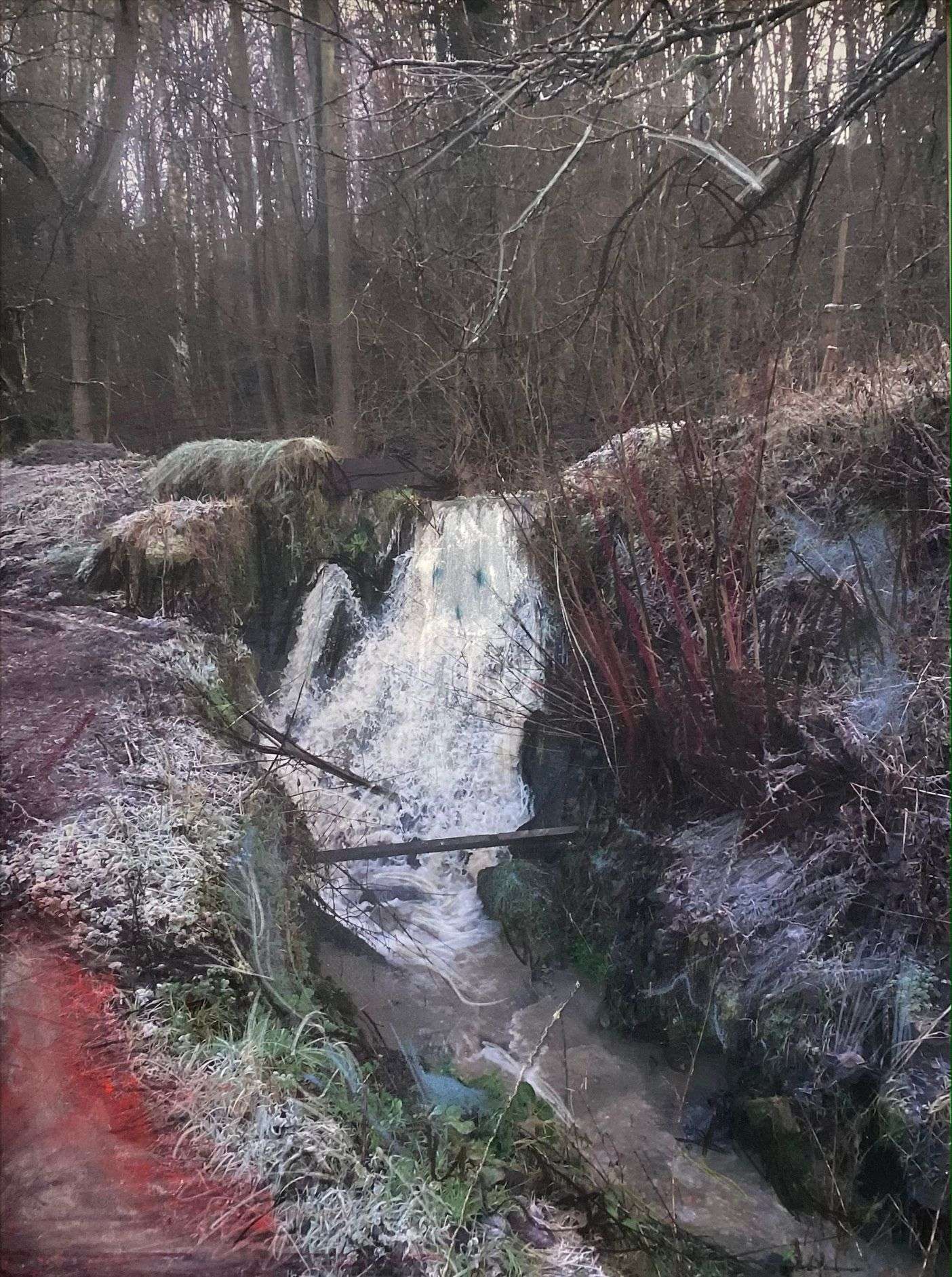 Rivière fantôme, Ardennes, 2023 © Lara Gasparotto