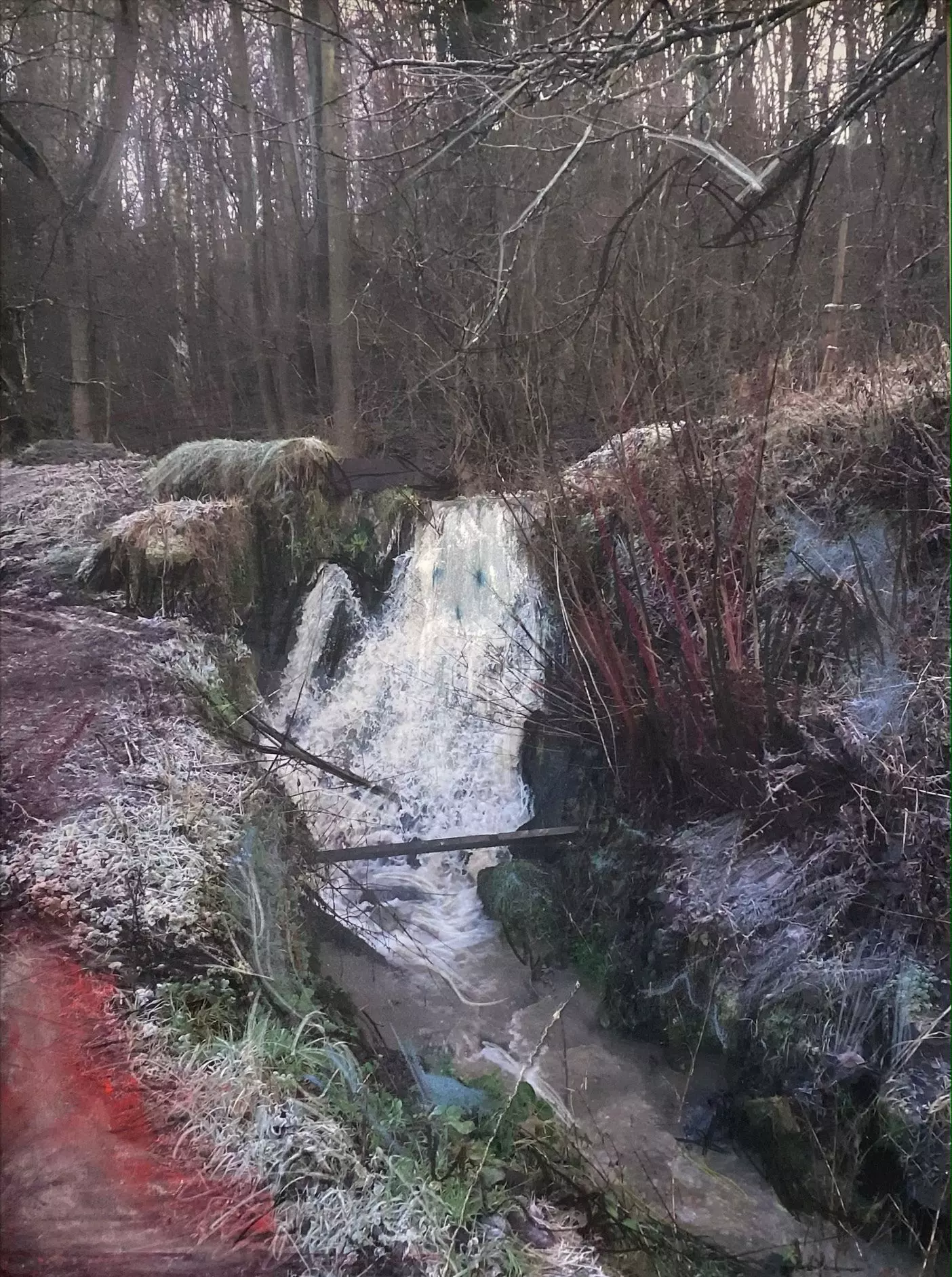 Rivière fantôme, Ardennes, 2023 © Lara Gasparotto