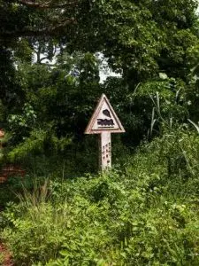 François-Xavier Gbré, série « Radio Ballast », Bamoro, 2024 © François-Xavier Gbré, Adagp, Paris, 2025